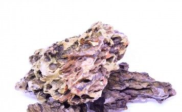 ada-ohko-stone-dragon-stones-for-sale-discount-cheap-ohko-stone-aquaticmag-356x220-4072098