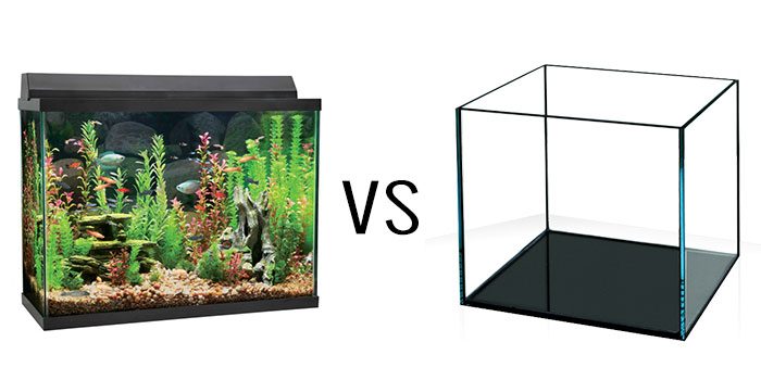 rimless-aquarium-tank-vs-euro-bracing-article-2-aquaticmag-3347180